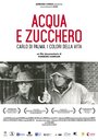 Acqua e zucchero: Carlo Di Palma, i colori della vita (2016) кадры фильма смотреть онлайн в хорошем качестве