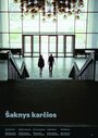 Saknys karcios (2016) трейлер фильма в хорошем качестве 1080p