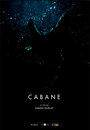 Cabane (2016) скачать бесплатно в хорошем качестве без регистрации и смс 1080p