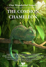 Our Wonderful Nature - The Common Chameleon (2016) трейлер фильма в хорошем качестве 1080p