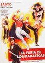 La furia de los karatecas (1982) скачать бесплатно в хорошем качестве без регистрации и смс 1080p