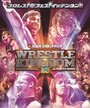 NJPW Wrestle Kingdom 13 (2019) скачать бесплатно в хорошем качестве без регистрации и смс 1080p