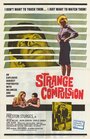 Смотреть «Strange Compulsion» онлайн фильм в хорошем качестве