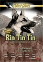 The Return of Rin Tin Tin