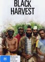 Black Harvest (1992) скачать бесплатно в хорошем качестве без регистрации и смс 1080p