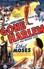 Gone Harlem (1938) скачать бесплатно в хорошем качестве без регистрации и смс 1080p