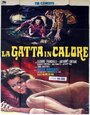 Смотреть «La gatta in calore» онлайн фильм в хорошем качестве