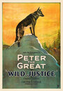 Wild Justice (1925) скачать бесплатно в хорошем качестве без регистрации и смс 1080p