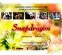 Snapdragon (2005) скачать бесплатно в хорошем качестве без регистрации и смс 1080p