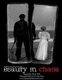 Beauty in Chaos (2004) скачать бесплатно в хорошем качестве без регистрации и смс 1080p