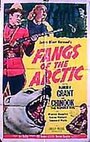 Fangs of the Arctic (1953) кадры фильма смотреть онлайн в хорошем качестве