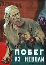 Смотреть «Побег из неволи» онлайн фильм в хорошем качестве