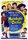 Смотреть «Moonlight and Cactus» онлайн фильм в хорошем качестве