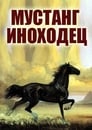 Мустанг-иноходец (1975) кадры фильма смотреть онлайн в хорошем качестве