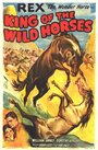 The King of Wild Horses (1924) кадры фильма смотреть онлайн в хорошем качестве