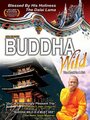 Смотреть «Buddha Wild: Monk in a Hut» онлайн фильм в хорошем качестве