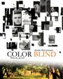 Смотреть «Color Blind» онлайн фильм в хорошем качестве