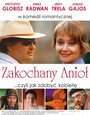 Влюбленный ангел (2005) скачать бесплатно в хорошем качестве без регистрации и смс 1080p