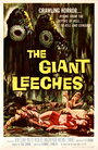Нападение гигантских пиявок (1959) трейлер фильма в хорошем качестве 1080p
