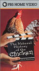 The Natural History of the Chicken (2000) трейлер фильма в хорошем качестве 1080p