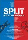 Split: A Divided America