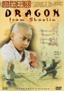 Long zai Shaolin (1996) трейлер фильма в хорошем качестве 1080p