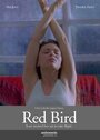 Red Bird (2005) скачать бесплатно в хорошем качестве без регистрации и смс 1080p