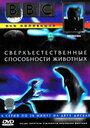 BBC: Сверхъестественные способности животных (1999) трейлер фильма в хорошем качестве 1080p