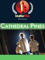 Смотреть «Cathedral Pines» онлайн фильм в хорошем качестве