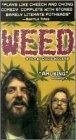 Weed (1996) скачать бесплатно в хорошем качестве без регистрации и смс 1080p