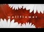 Wallflower