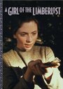 A Girl of the Limberlost (1990) скачать бесплатно в хорошем качестве без регистрации и смс 1080p