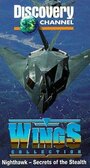 Nighthawk: Secrets of the Stealth (1992) трейлер фильма в хорошем качестве 1080p