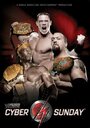 WWE: Кибер воскресенье (2006) кадры фильма смотреть онлайн в хорошем качестве