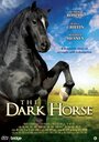 Смотреть «The Dark Horse» онлайн фильм в хорошем качестве