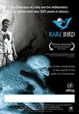 Rare Bird (2006) кадры фильма смотреть онлайн в хорошем качестве