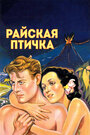 Райская птичка (1932) трейлер фильма в хорошем качестве 1080p