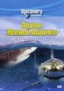 Discovery: Акулы Южной Африки (2001) трейлер фильма в хорошем качестве 1080p