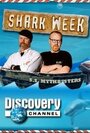 Shark Hunter: Chasing the Great White (2005) скачать бесплатно в хорошем качестве без регистрации и смс 1080p