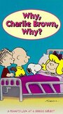 Why, Charlie Brown, Why? (1990) трейлер фильма в хорошем качестве 1080p