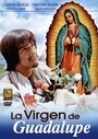 La virgen de Guadalupe