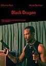 Black Dragon (2003) трейлер фильма в хорошем качестве 1080p