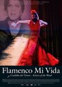 Flamenco mi vida - Knives of the wind