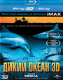 Дикий океан 3D (2008) скачать бесплатно в хорошем качестве без регистрации и смс 1080p