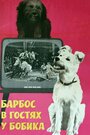 Барбос в гостях у Бобика (1964) кадры фильма смотреть онлайн в хорошем качестве