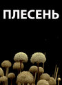 Плесень (2009) кадры фильма смотреть онлайн в хорошем качестве