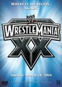 WWE РестлМания 20 (2004) кадры фильма смотреть онлайн в хорошем качестве