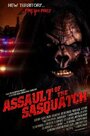 Смотреть «Sasquatch Assault» онлайн фильм в хорошем качестве