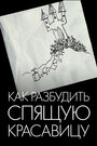 Как разбудить Спящую красавицу (2009) трейлер фильма в хорошем качестве 1080p