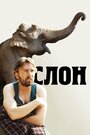 Слон (2010) кадры фильма смотреть онлайн в хорошем качестве